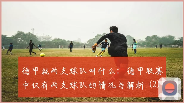 德甲就两支球队叫什么：德甲联赛中仅有两支球队的情况与解析 (2)