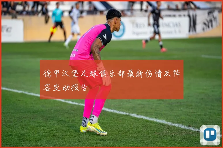 德甲汉堡足球俱乐部最新伤情及阵容变动报告