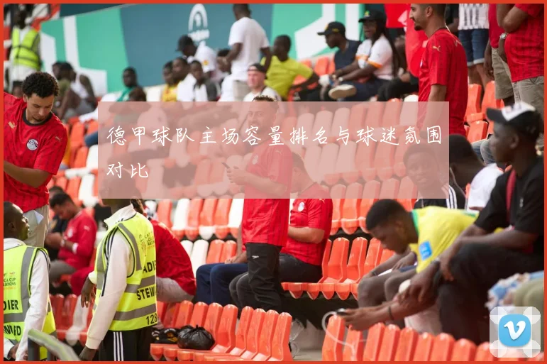 德甲球队主场容量排名与球迷氛围对比