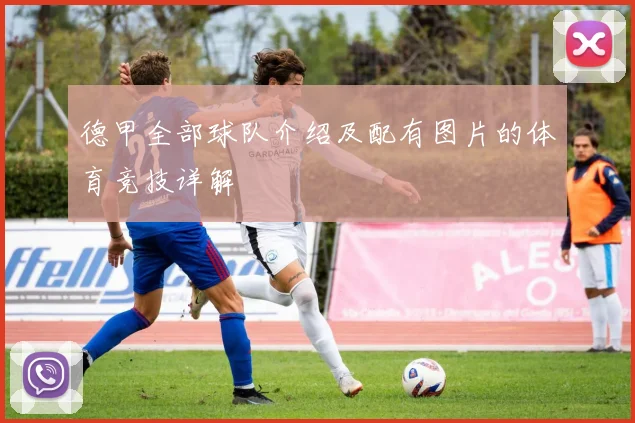 德甲全部球队介绍及配有图片的体育竞技详解